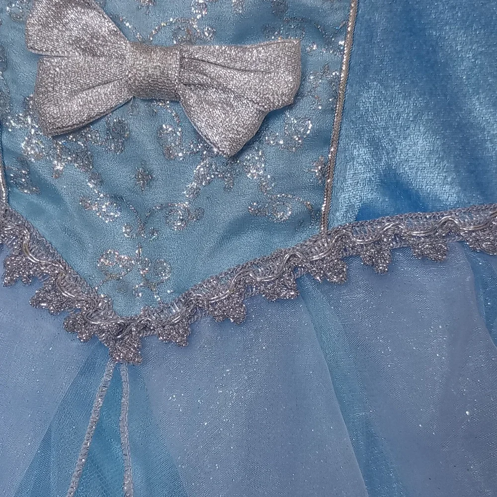 Disney Authentic Blue Cinderella Costume
